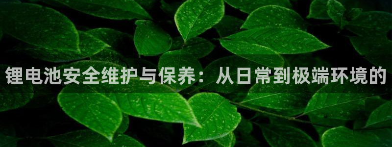 k豆钱包教程