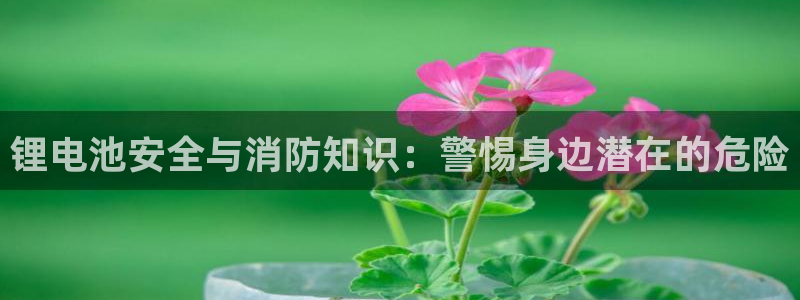 k豆钱包地址怎么写