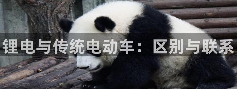 k d豆钱包