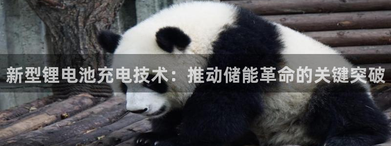 k豆钱包搬砖赚钱