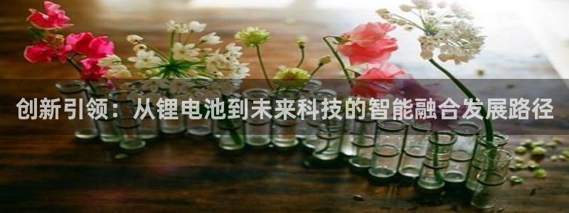 k 豆钱包 app