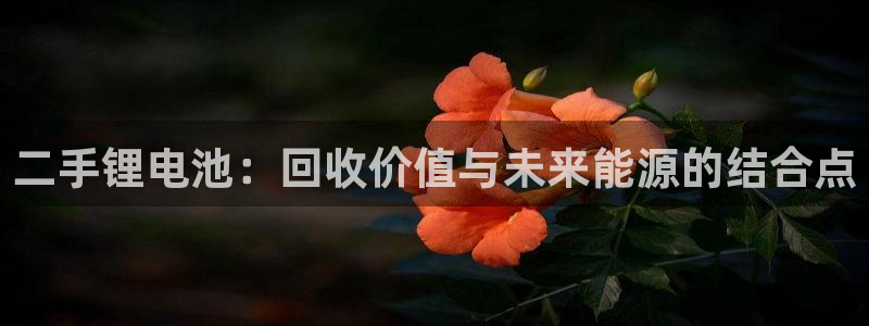 k豆钱包正式版