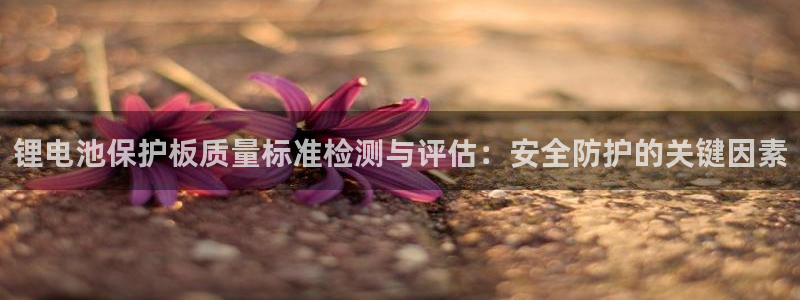 k豆钱包地址在哪看