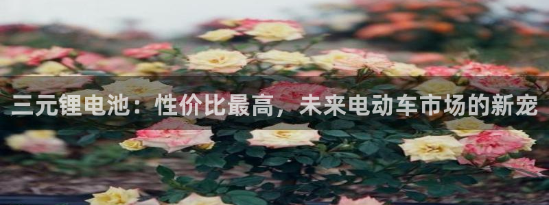 k豆钱包怎么样?