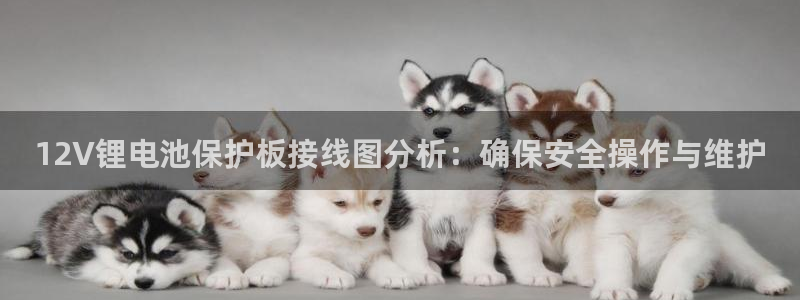 下载k豆钱包