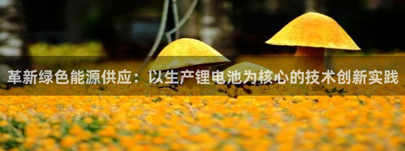 k豆钱包官网