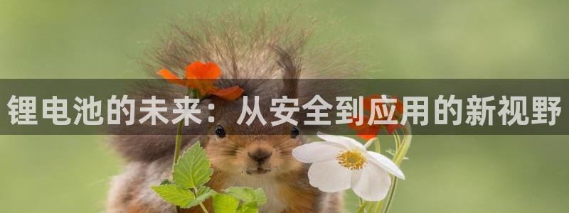 k豆钱包下载安卓