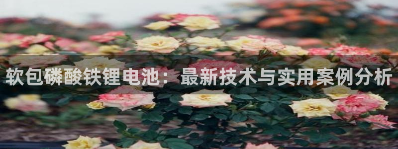 k豆钱包地址在哪看