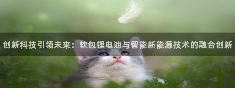 k豆钱包怎么提现