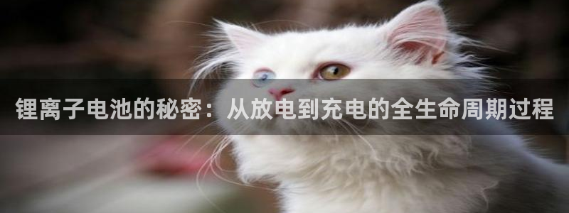 k豆钱包和ag钱包哪个好用