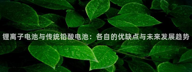 k豆钱包下载地址