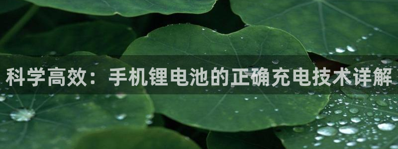 k豆钱包邀请码