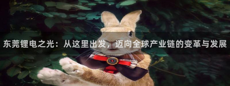 免费下载k豆钱包