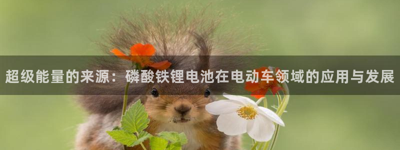 如何下载k豆钱包