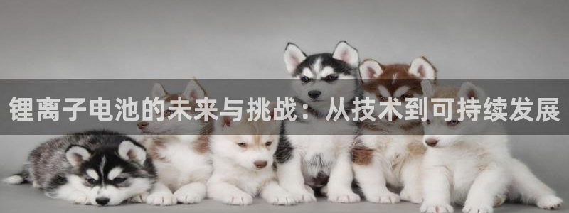 k豆钱包卖k豆犯法吗