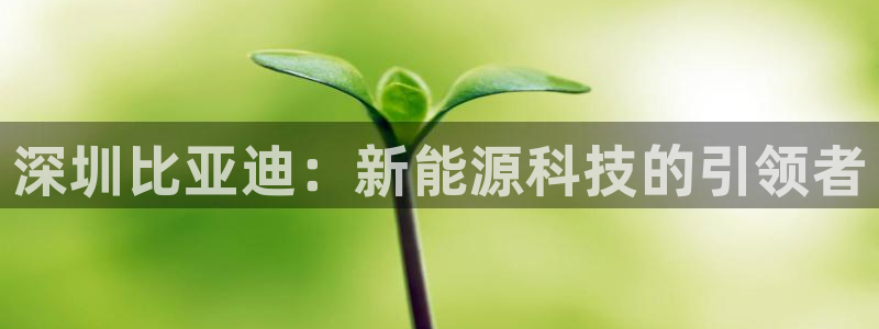 k豆钱包安全可靠吗