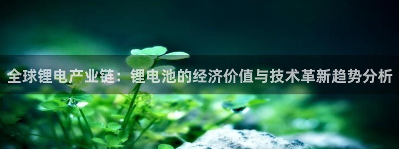k豆钱包怎么下载：全球锂电产业链：锂电池