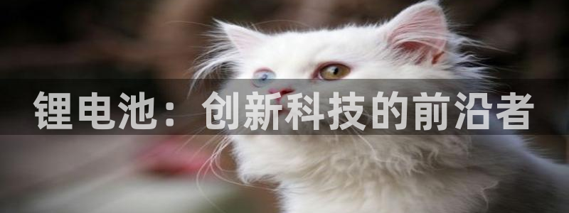 k豆钱包怎么买朋友的豆：锂电池：创新科技